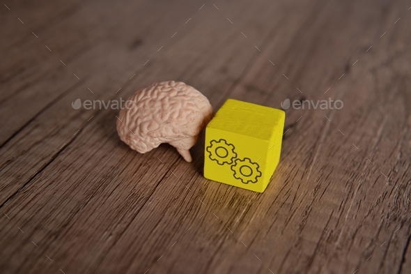 Human brain and wooden block with cogwheel icon.