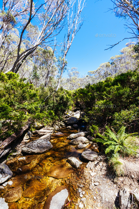 River at Horse Camp Hut in Kosciuszko National Park in Australia