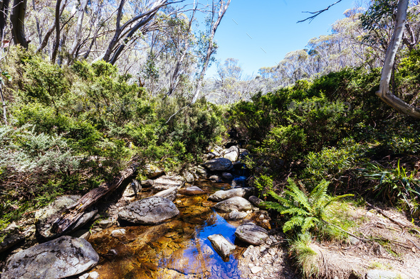 River at Horse Camp Hut in Kosciuszko National Park in Australia