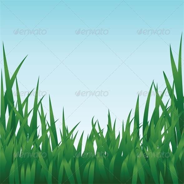 Green Grass and Blue Sky - Flowers & Plants Nature
