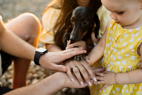 Close up of family stacking hands in circle with dog paw