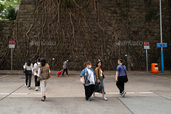 People walking across the street with a wall with overgrown roots of a tree
