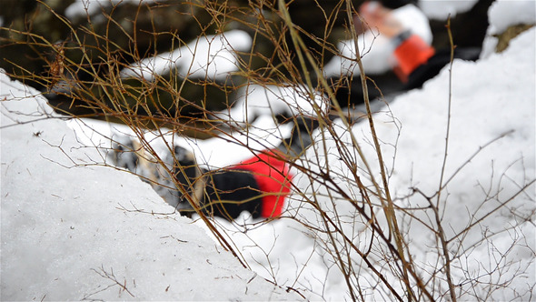 Man Laying Down In Snow