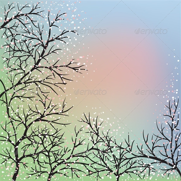 Blooming trees and blue sky, dawn - Seasons Nature