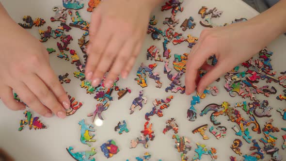 Two Pairs of Female Hands and Bizarrely Shaped Puzzles are Laid Out on the Table alt