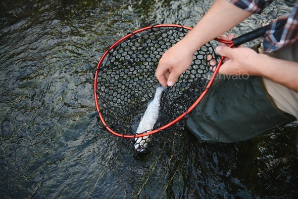 Rainbow fishing is picking up