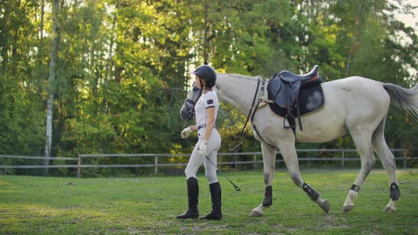 A Woman Holding the Reins of a Horse Walks with Her in the Meadow in the Summer alt