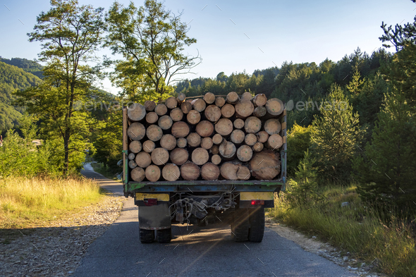Tip truck transportation of sawn timber