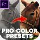 Movie Looks LUTs - Color Presets Pack