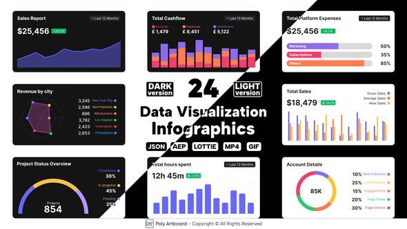 Data Visualization Lottie Infographics