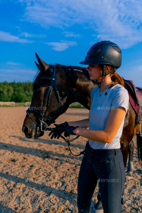 A helmeted rider feeds her beautiful black horse from her hand in the equestrian arena