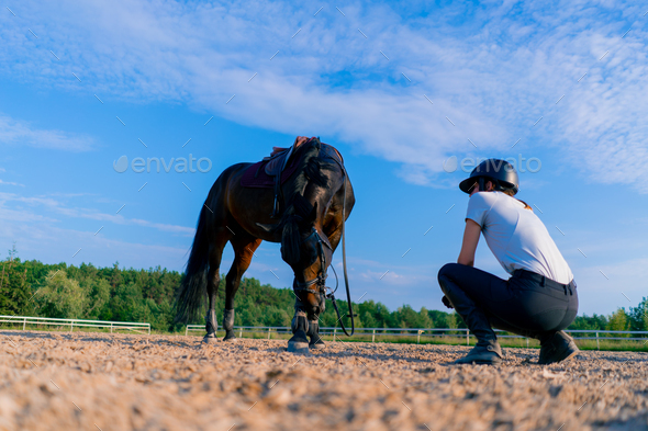 A horsewoman in a helmet hugs and scratches her black horse with her hand at the equestrian arena