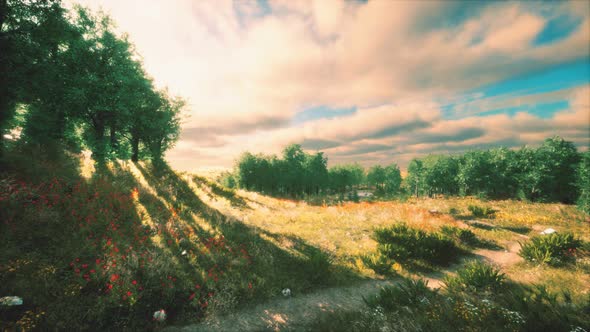 Heavy Rain Clouds Over the Field at the Sunset alt