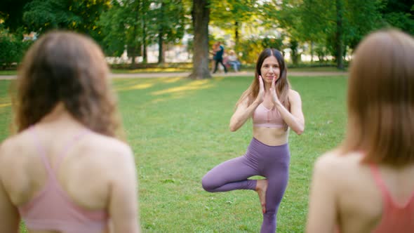Fit Sporty Women Group at Yoga Practice Class Outdoors in Park