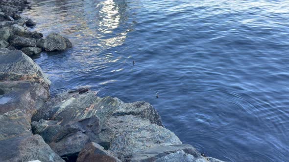 Panning up in Ålesund Harbor, from peaceful and calm rocks and water to seaside cottages and Leiteba alt