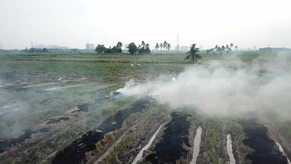 Open fire and white smoke release create green house problem at Malaysia. alt