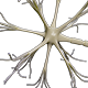 Neuron 3d Model