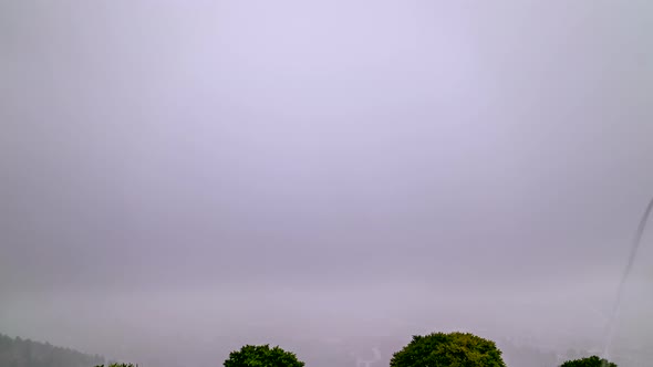 İt's Raining Cats And Dogs alt