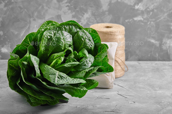 lettuce or romano salad, salad leaves lettuce bush, green crop petals, vitamins Roman salad, Batavia