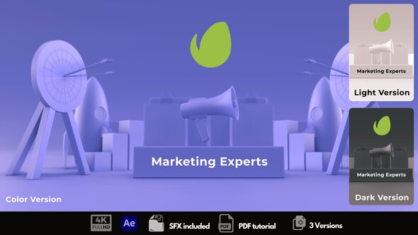 Marketing Experts Logo Stings template preview