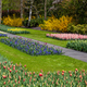 Keukenhof Gardens in Spring - PhotoDune Item for Sale