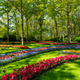 A Springtime Garden.Beautiful Garden in Full Bloom - PhotoDune Item for Sale