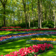 A Springtime Garden.Beautiful Garden in Full Bloom - PhotoDune Item for Sale