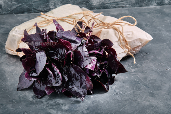 A bunch of fresh purple basil on a gray background eco packaging. Food delivery environmental