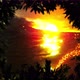 Sunset | Magic landscape background - VideoHive Item for Sale