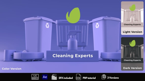 Cleaning Experts Logo Stings template preview