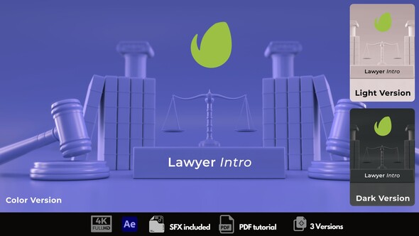 Lawyer Intro
