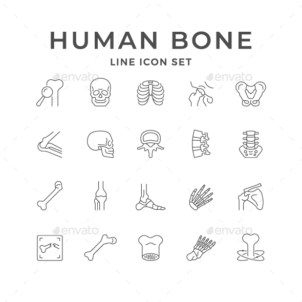 Set Line Icons of Human Bones