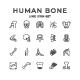 Set Line Icons of Human Bones