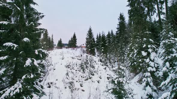 Flying Through the Winter Forest to the Houses on the Hill