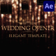 Wedding Opener for After Effects