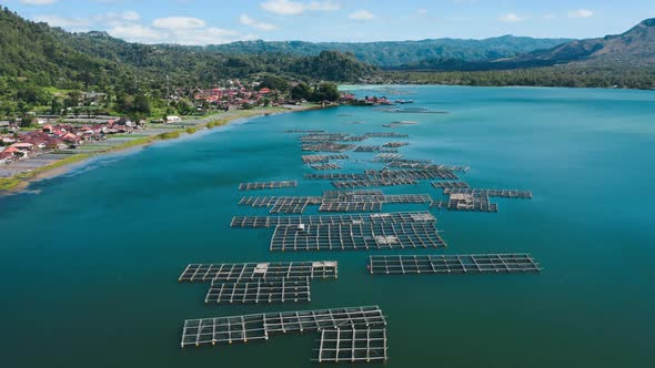 A Beautiful Flight Over Fish Farms on Shore of Lake Batur with Green Water
