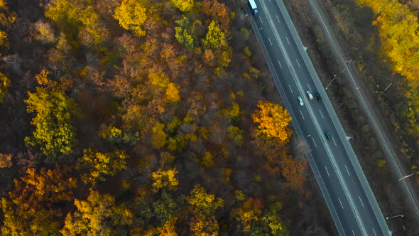 Top Down View of Autumn Road Car at Autumn Day