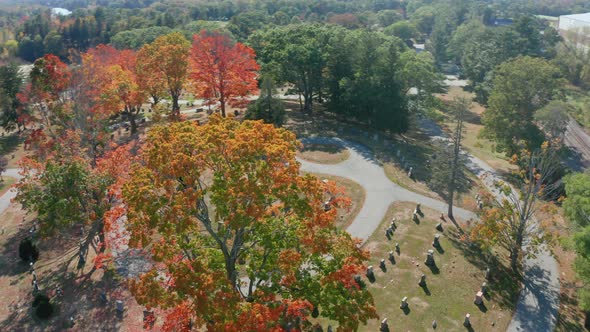 Aerial Drone Shot Flying Over Mt Feake Cemetery in Waltham Mass with Fall Colors alt