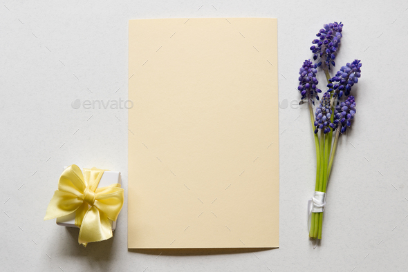 Green branches with purple inflorescences and a gift box with a bow on a light background. - Stock Photo - Images