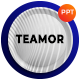 Teamor - Modern Business PowerPoint Template