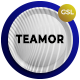 Teamor - Modern Business Google Slides Template