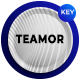 Teamor - Modern Business Keynote Template