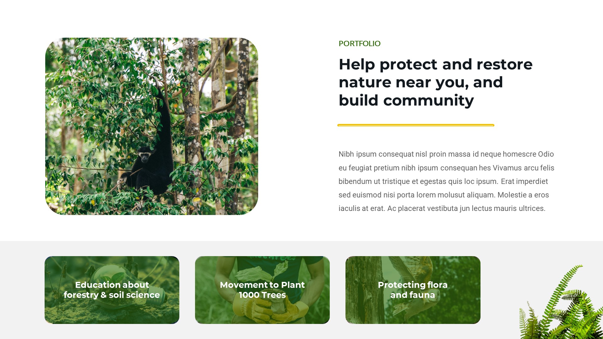 Greenflora - Forest Conservation PowerPoint Template, Presentation ...