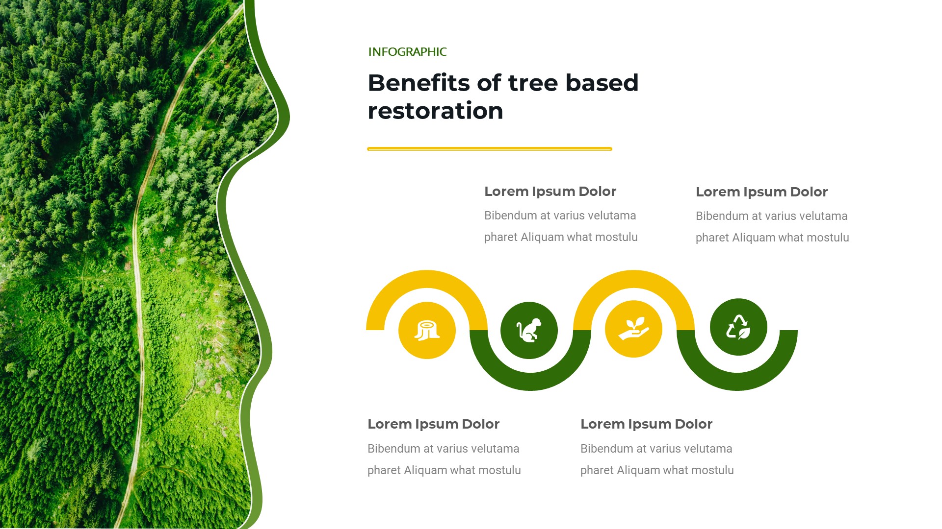 Greenflora - Forest Conservation PowerPoint Template, Presentation ...