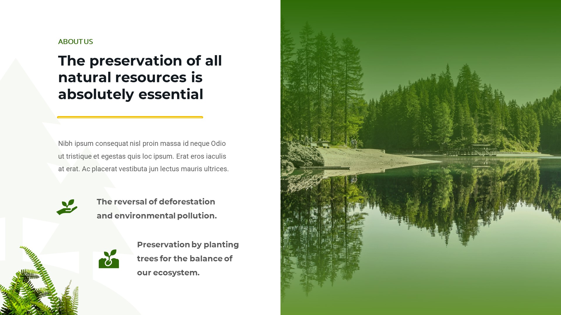 Greenflora - Forest Conservation PowerPoint Template, Presentation ...