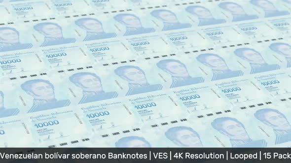 Venezuela Banknotes Money / Venezuelan bolívar / Currency Bs.D / VED / 15 Pack - 4K alt
