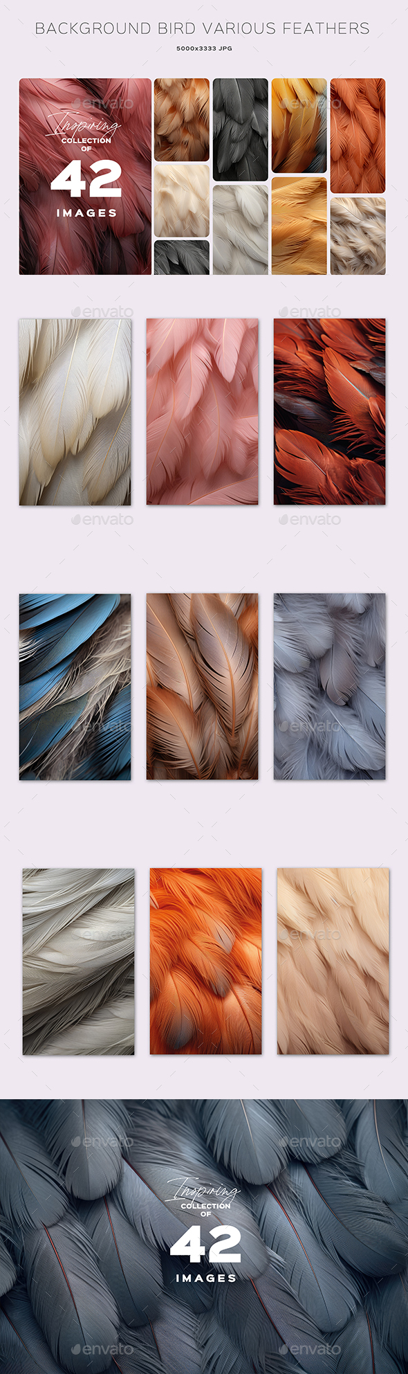 [DOWNLOAD]Background Bird Various Feathers