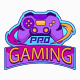 Pro_Gaming