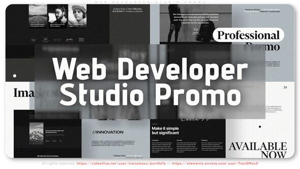 Web Developer Studio Promo