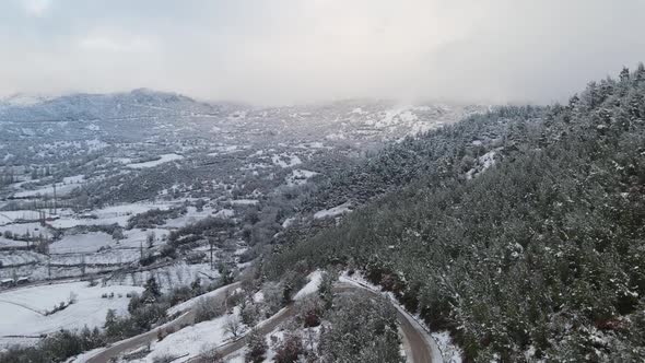 Winter Forest Mountains alt